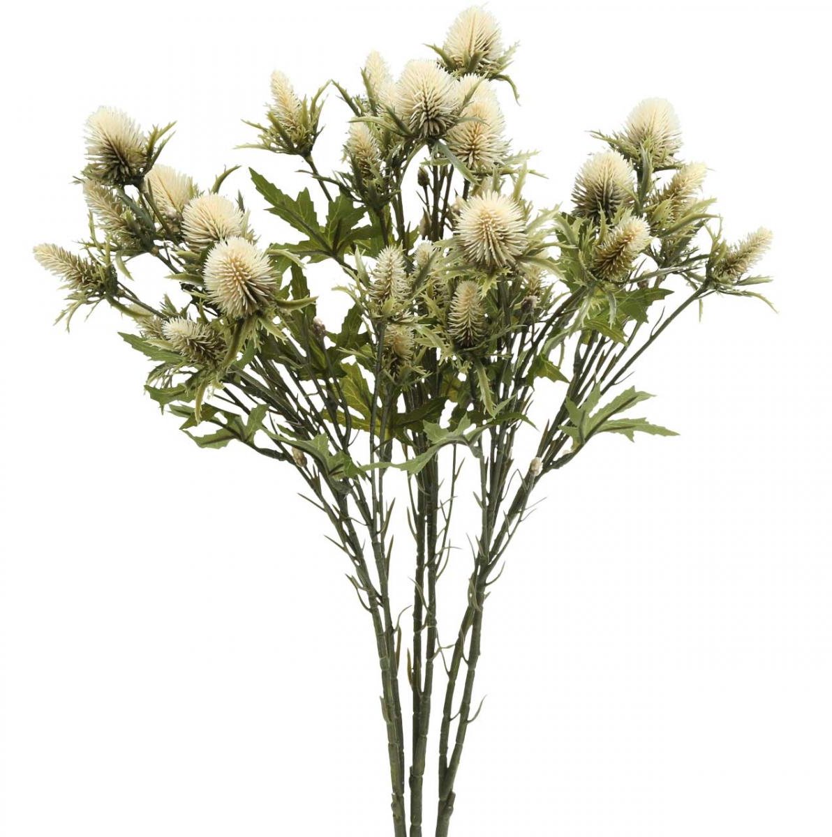 Distel kunsttak creme 10 bloemhoofdjes 68cm 3st, 3 Stück