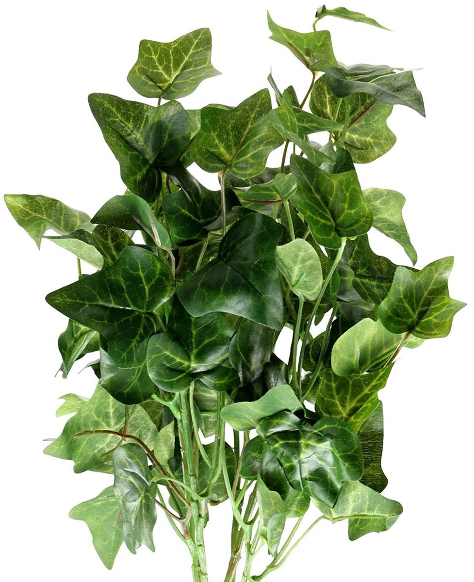 Viana Klimop kunstgroen 50cm Kunstplant als echt! groente