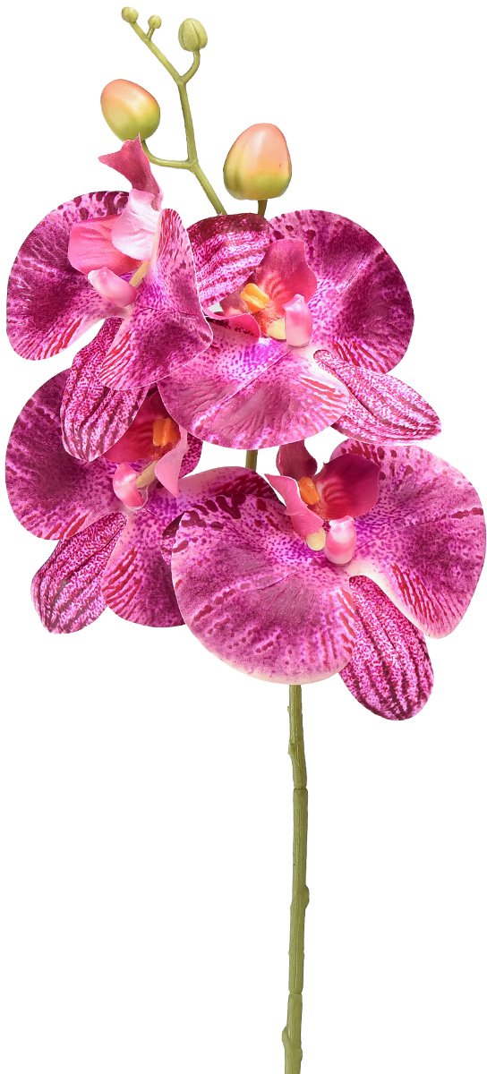 Orchidee gevlamde Phalaenopsis kunstpaars 72cm