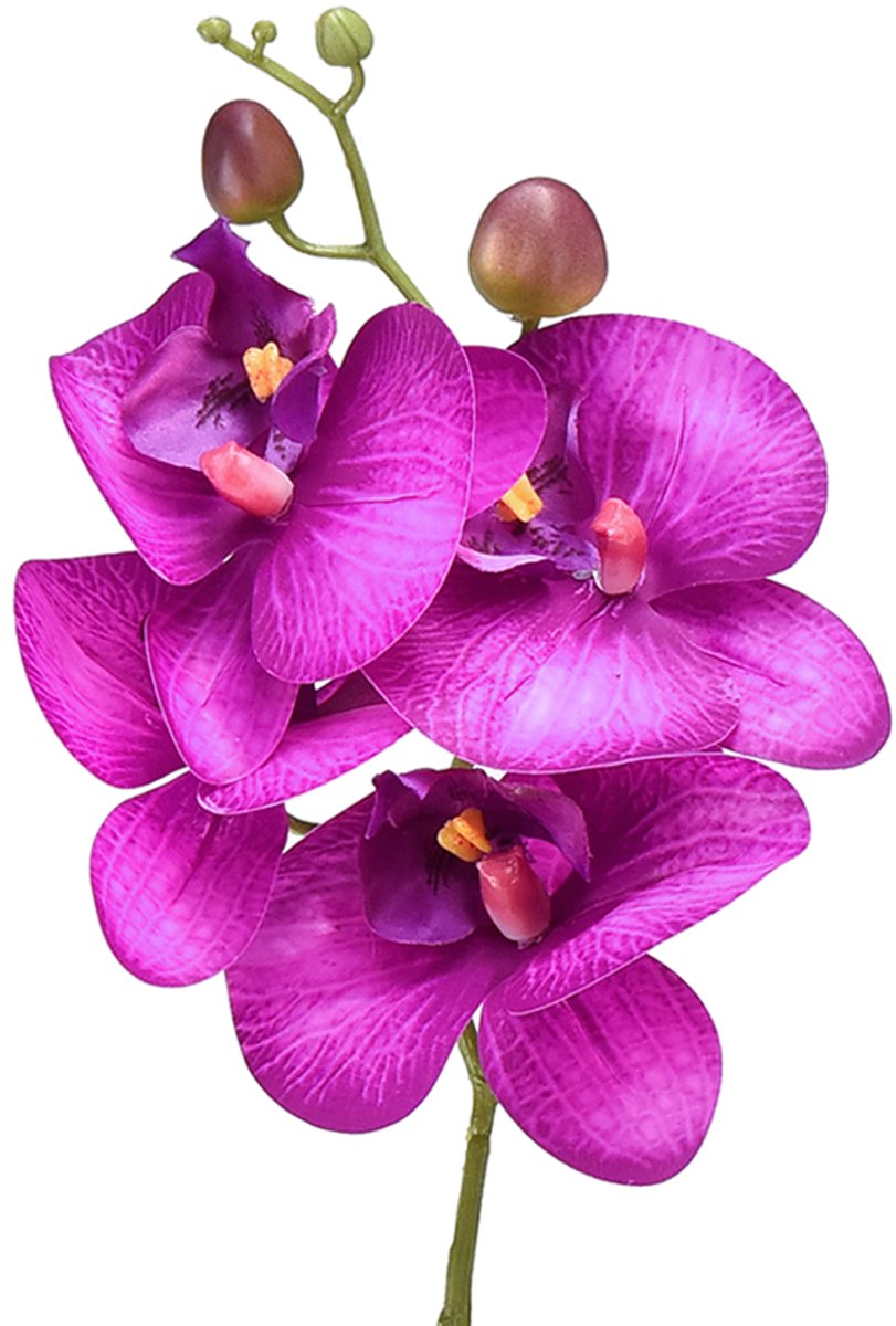 Orchidee Kunst Phalaenopsis 4 bloemen Fuchsia 72cm