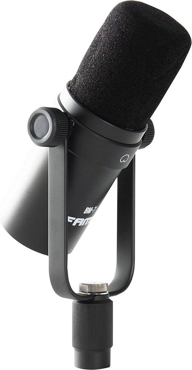 Professionele Dynamische Microfoon voor Zang, Spraak en Streaming