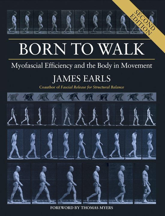 Born to Walk, Second Edition: Myofascial Efficiency and the  ... - cover