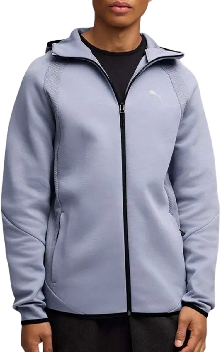 Puma Evostripe Hoodie Heren Grijs