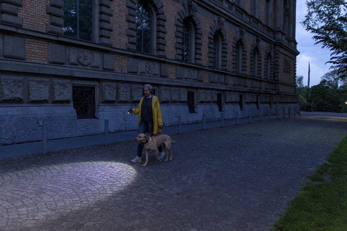 Zaklamp 450 Lumen met Focusfunctie en 300 m Verlichtingsbereik