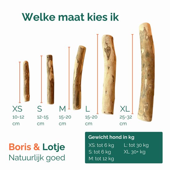 Verschillende maten olijfhouten kauwstaven, van XS (10-12 cm) tot XL (25-32 cm).