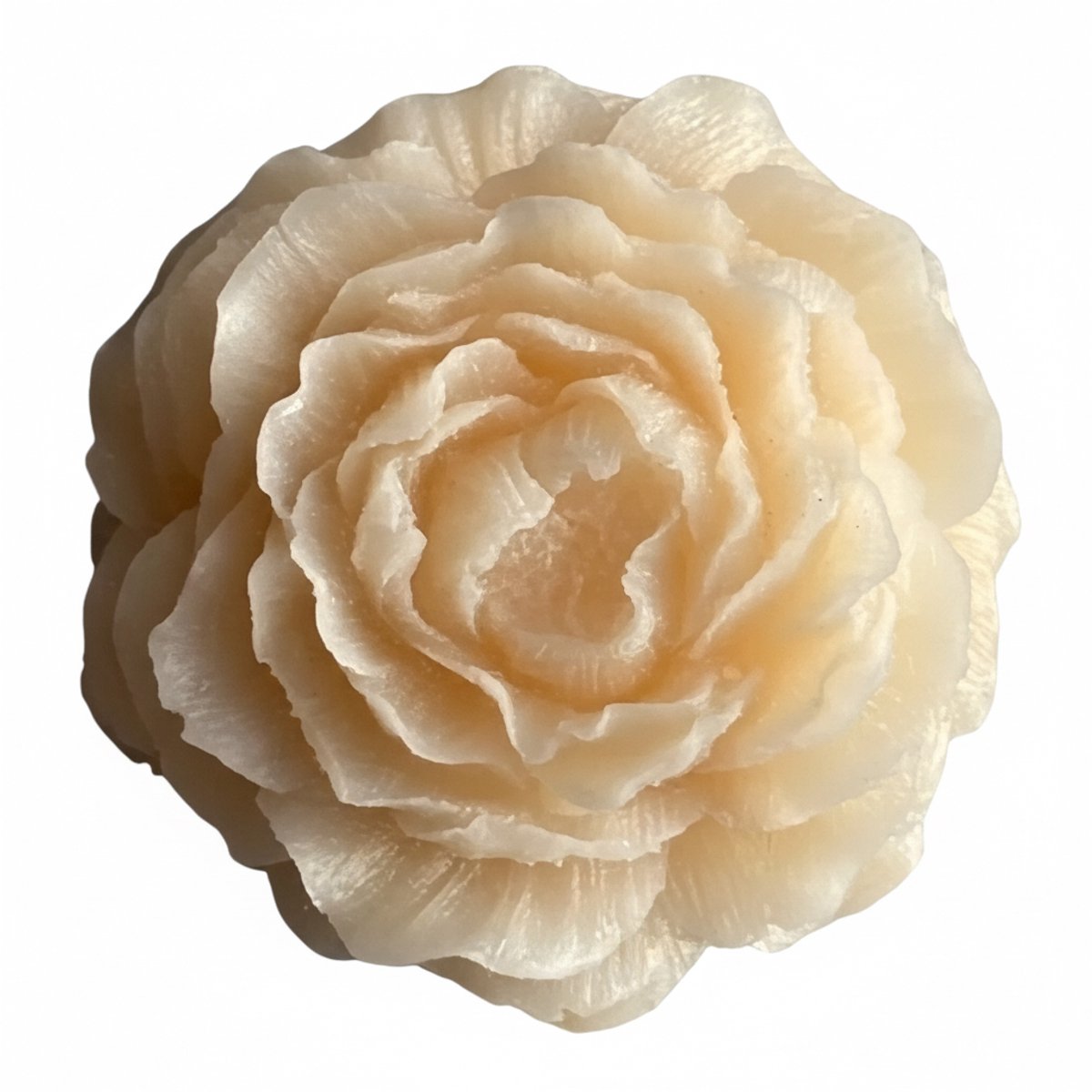 Corios Geurwax Bernstein Rose Vanilla 8x8x3cm