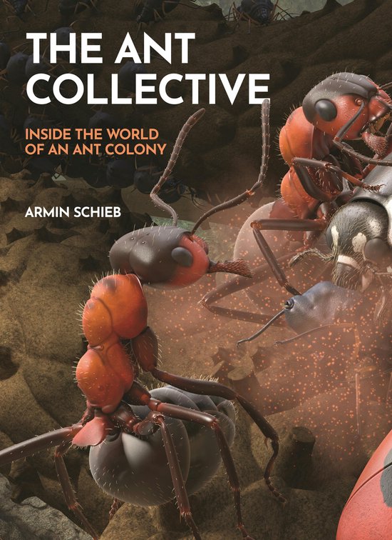 The Ant Collective - cover