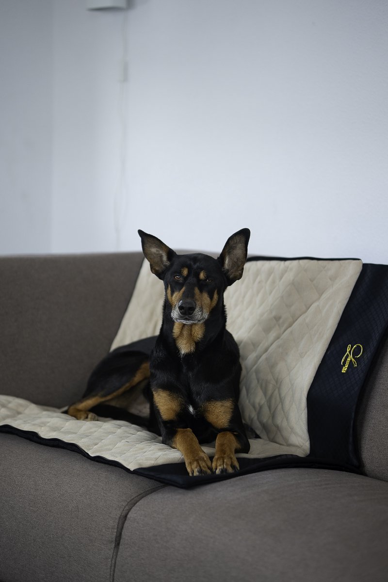 Designer Hondenslaapzak luxe