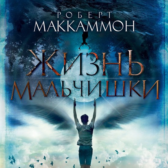 Жизнь мальчишки - cover
