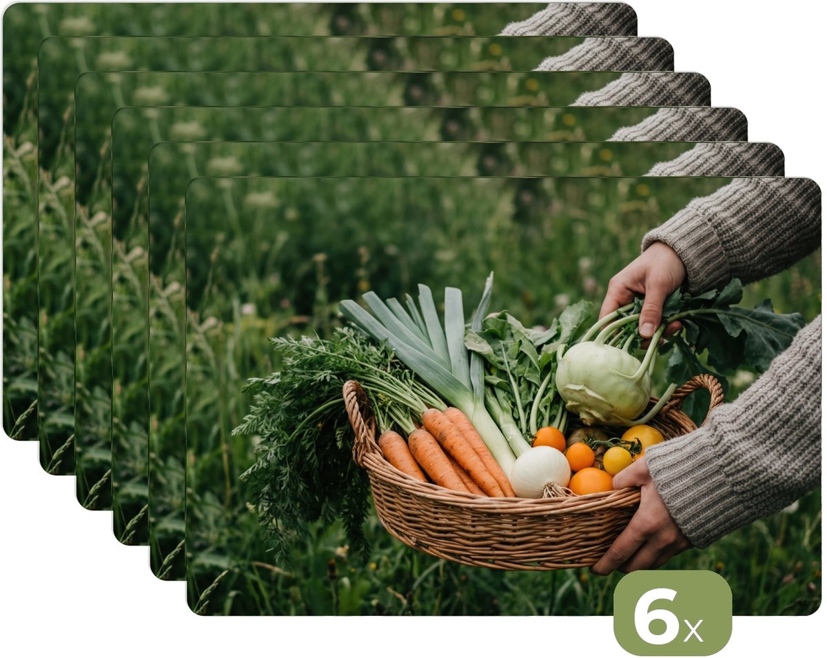 Placemats - 6 stuks - 45x30 cm - Placemat kunststof - Veld - Groenten - Biologisch - Oogst - Borden onderleggers - Decoratie voor op tafel - Keuken tafeldecoratie accessoires - Vinyl onderlegger - Tafelversiering