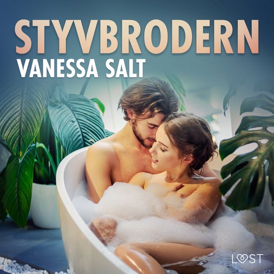 Styvbrodern - erotisk novell - cover