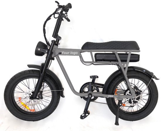 EB2 Fatbike 20 inch 250W elektrische fatbike 80 km bereik 7 versnellingen hydraulische schijfremmen grijs