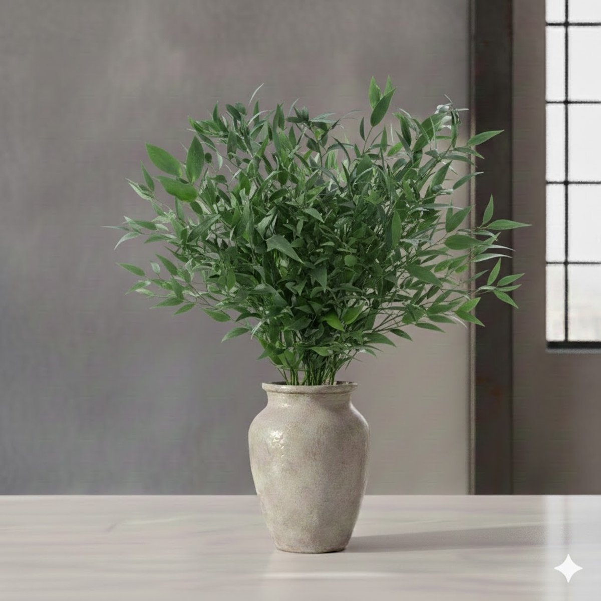 Verse Italiaanse Ruscus | Lengte 65 centimeter | Per 200 gram
