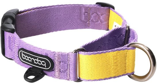 Collier martingale Boondog violet et jaune avec boucle et anneau.