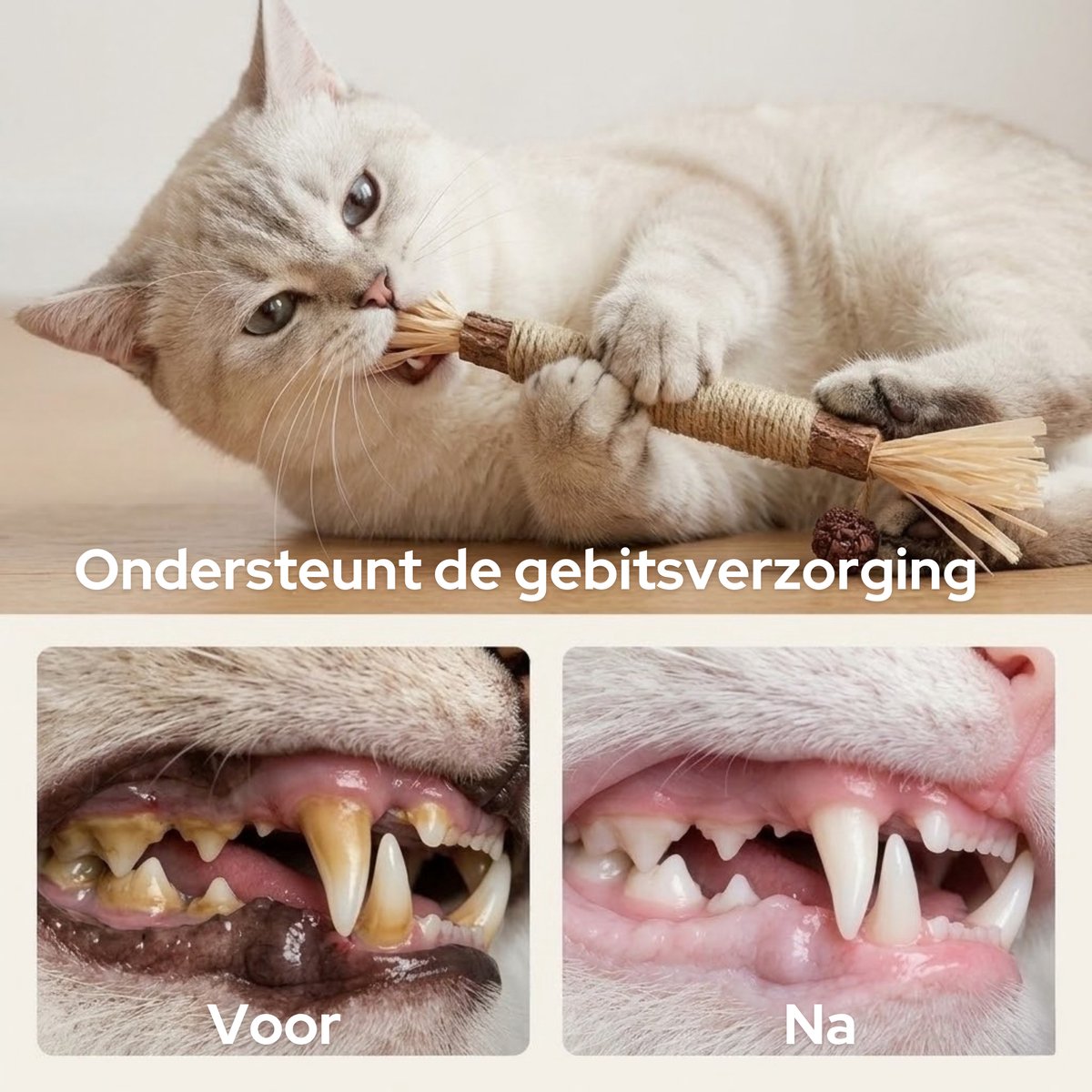 FURTASTIC® Matatabi Stokjes voor Katten - 4 Stuks – 100% Natuurlijk Catnip Kattenspeelgoed — afbeelding 3