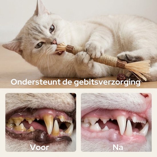 Bâtons Matatabi pour Chats - 4 pièces - Jouets pour chats 100% naturels et comestibles - speelgoed à l'herbe à chat