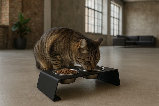 Grijze cyperse kat eet uit een dubbele voerbak op een verhoogd zwart station.