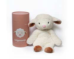 Lotgenootje Verzwaringsknuffel Schaap - 45cm/2kg - Verzwaarde Knuffel - Weighted Stuffed Animal - Sensorisch Speelgoed - Zware Knuffel Anxiety - Plushie