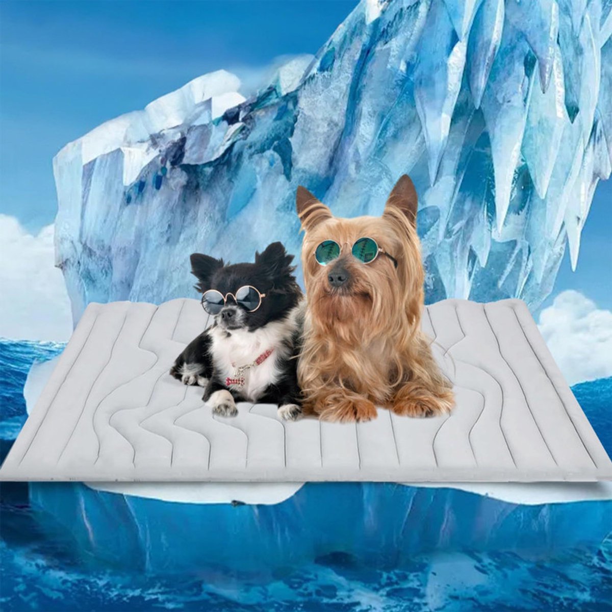 Huisdiermat - Maat XL - 150*101 cm - Koelmat voor honden - Koelmat voor katten - IJsmat voor huisdieren - Koelmat voor de zomer - Koelmat voor honden ter voorkoming van hitteberoerte - Draagbaar hondenbed - Koelende hondenbench - Waterdicht