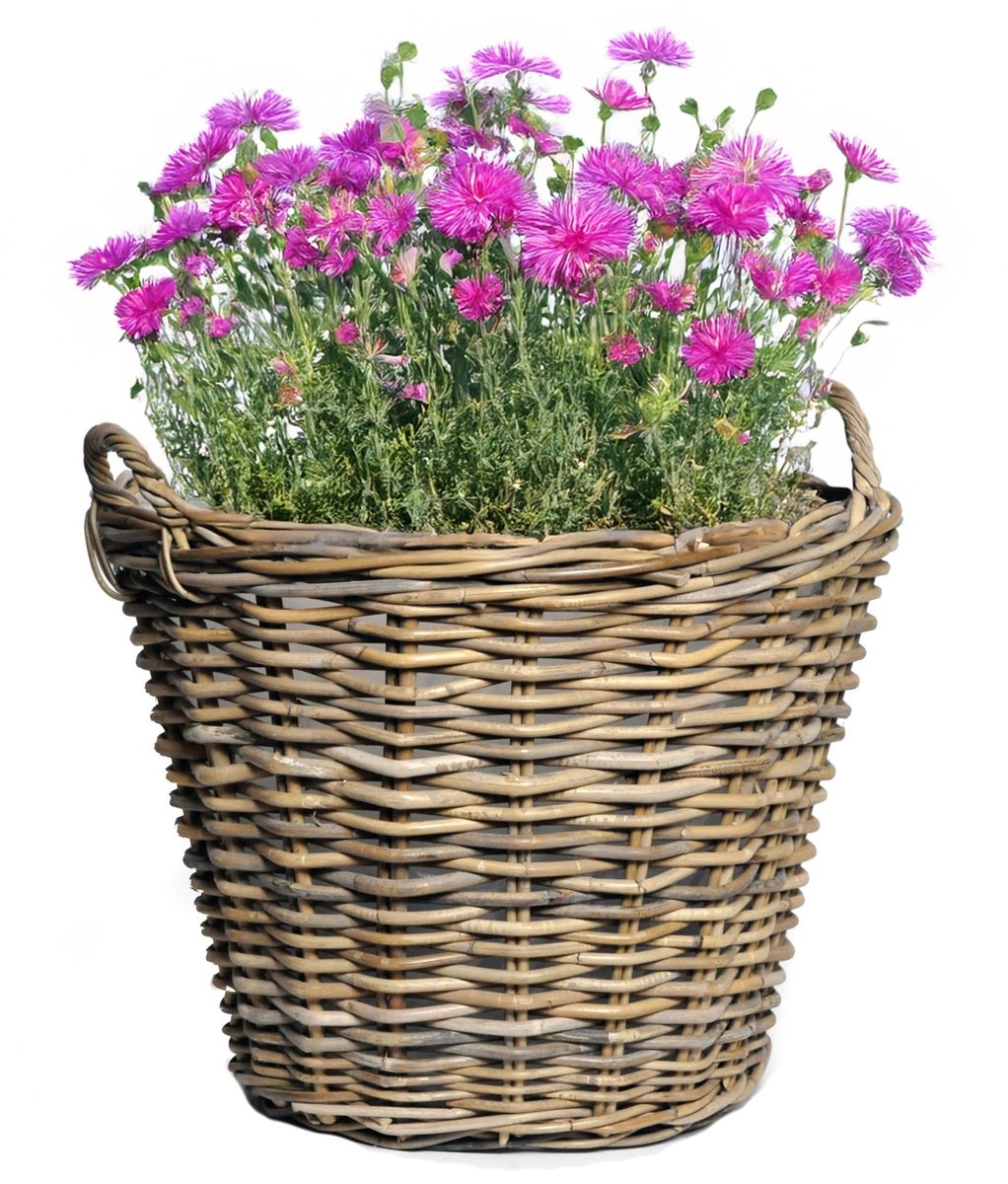 Mega Collections Plantenmand - bloemenmand - D42 x H31 cm - rond - rotan gevlochten - rieten mand
