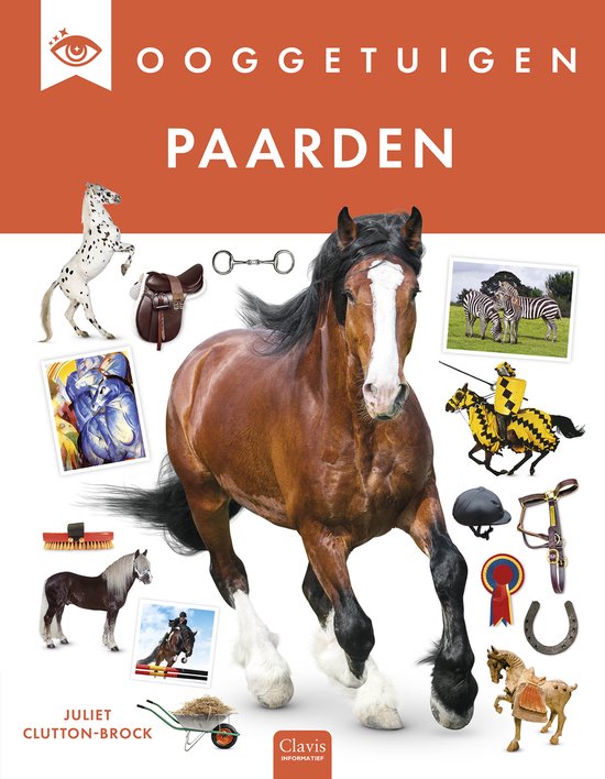 Ooggetuigen - Ooggetuigen. Paarden - cover