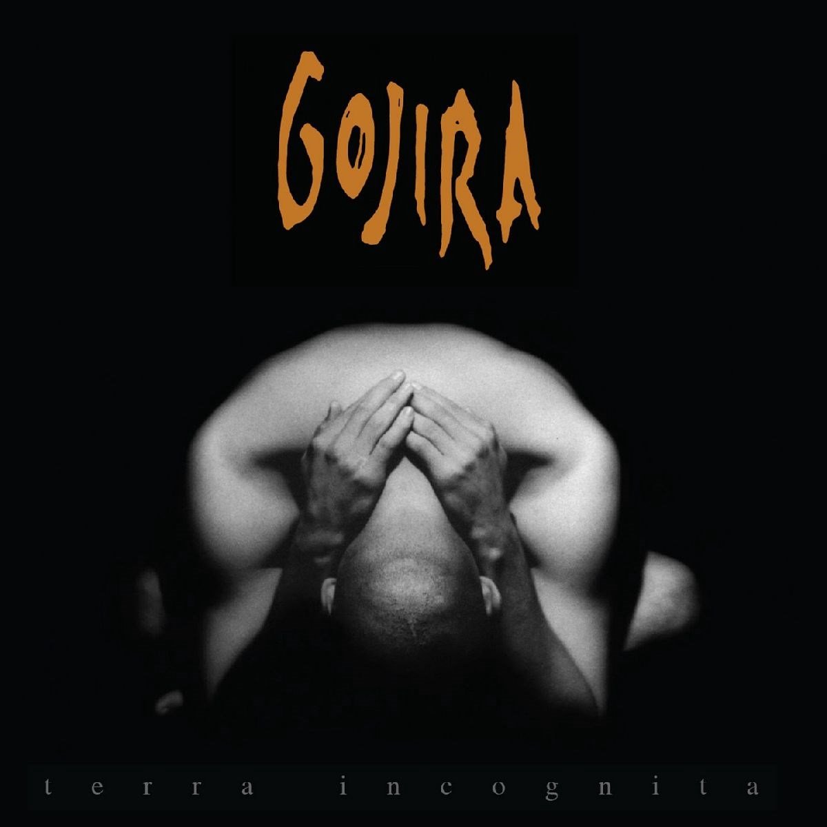 Terra Incognita (LP)