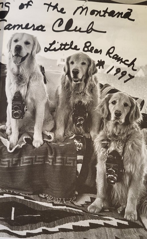 Bruce Weber - The Golden Retriever Photographic Society - human