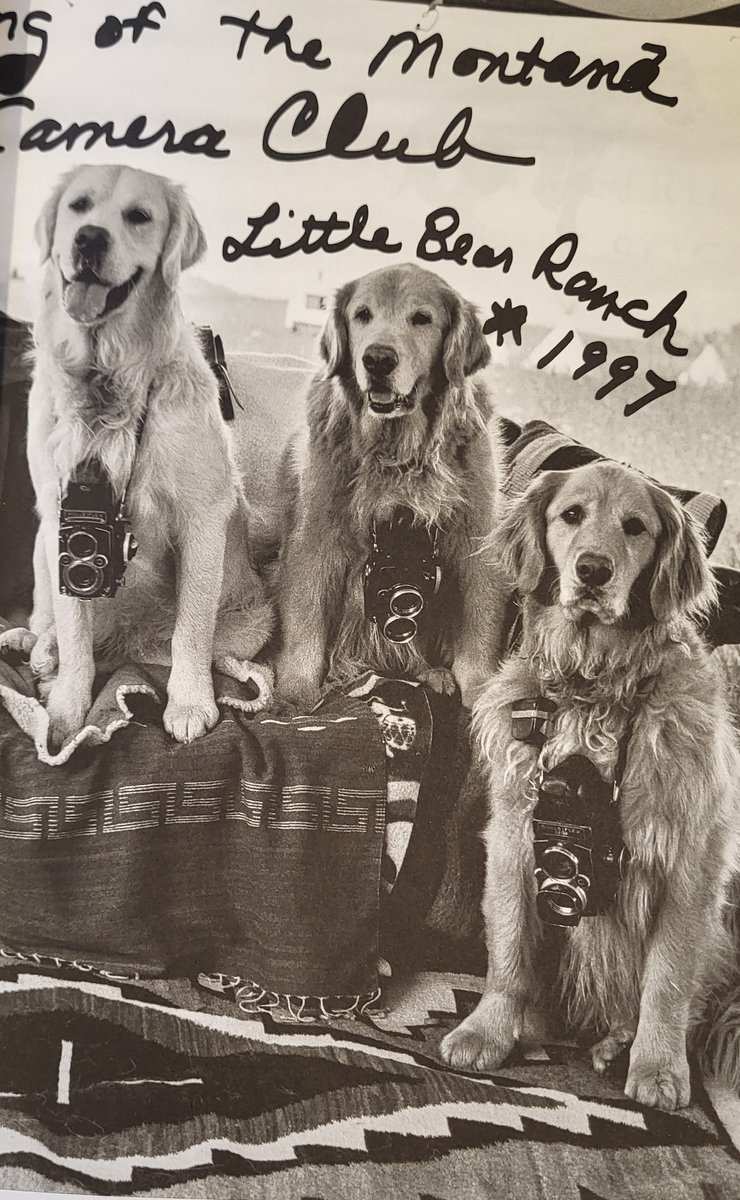 Bruce Weber - The Golden Retriever Photographic Society - human
