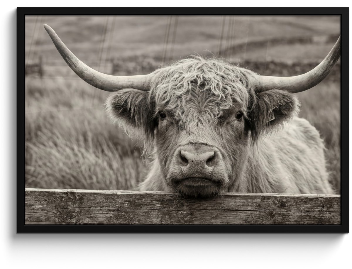 FrameYourWall Poster in lijst - Fotolijst 90x60 cm - Posters - Schotse hooglander - Zwart - Wit - Hout - Posterlijst zwart - Decoratie - Wanddecoratie woonkamer - Muurdecoratie slaapkamer