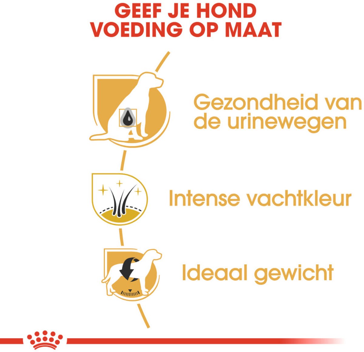 Royal Canin - Mini Schnauzer Adult Hondenvoer - 4 x 3 kg