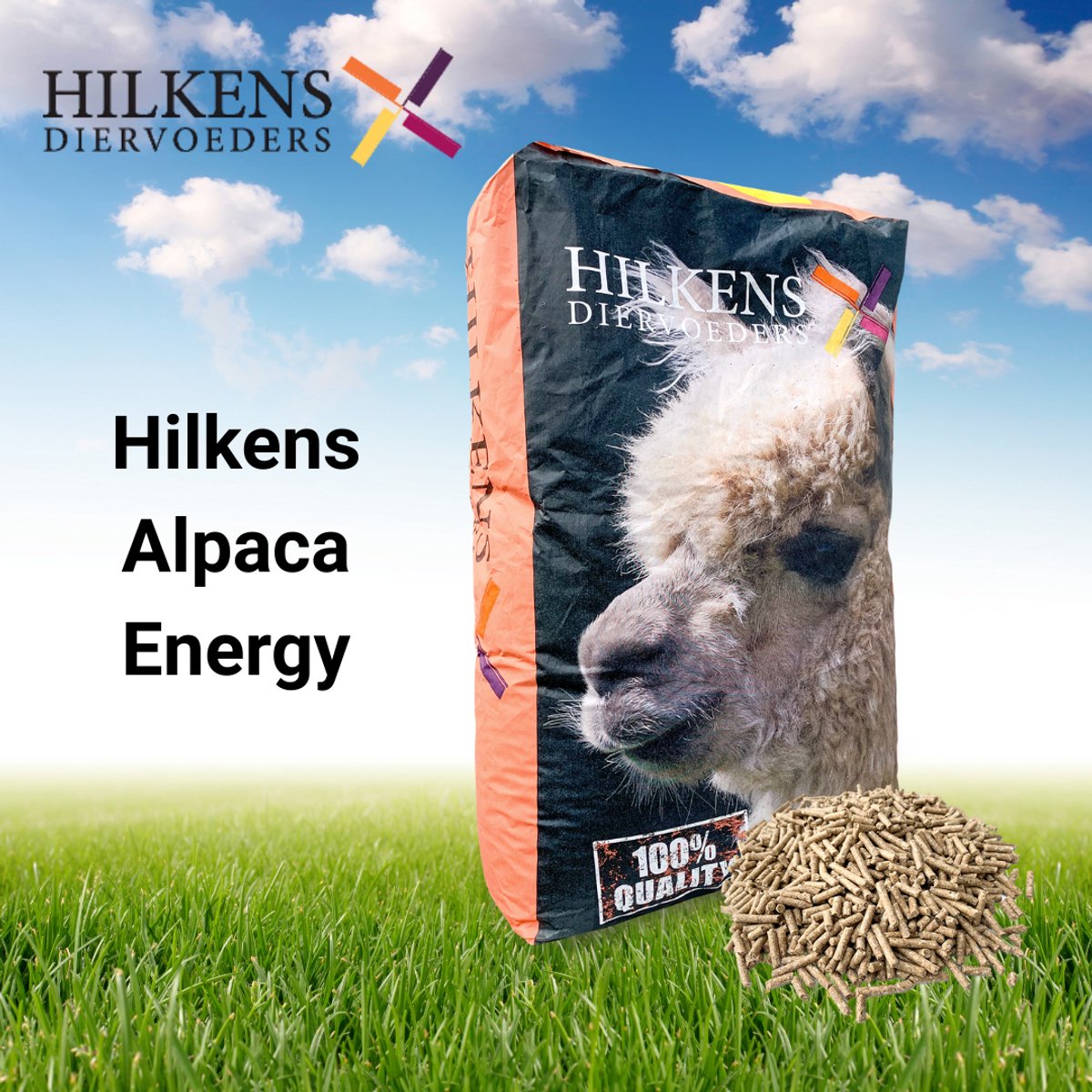 Alpaca Energy