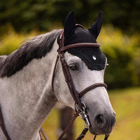 Een grijs paard met een zwart oornetje met bruine teugels en bit.