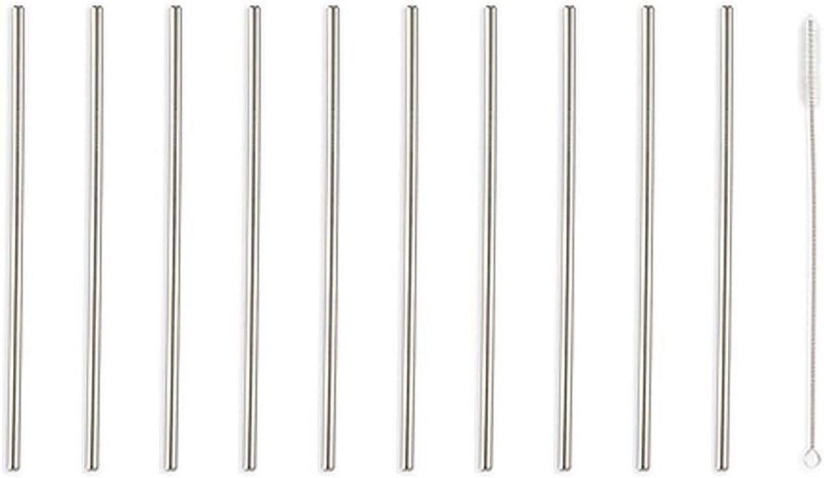 Set van 10 Herbruikbare Metalen Rietjes van Roestvrij Staal