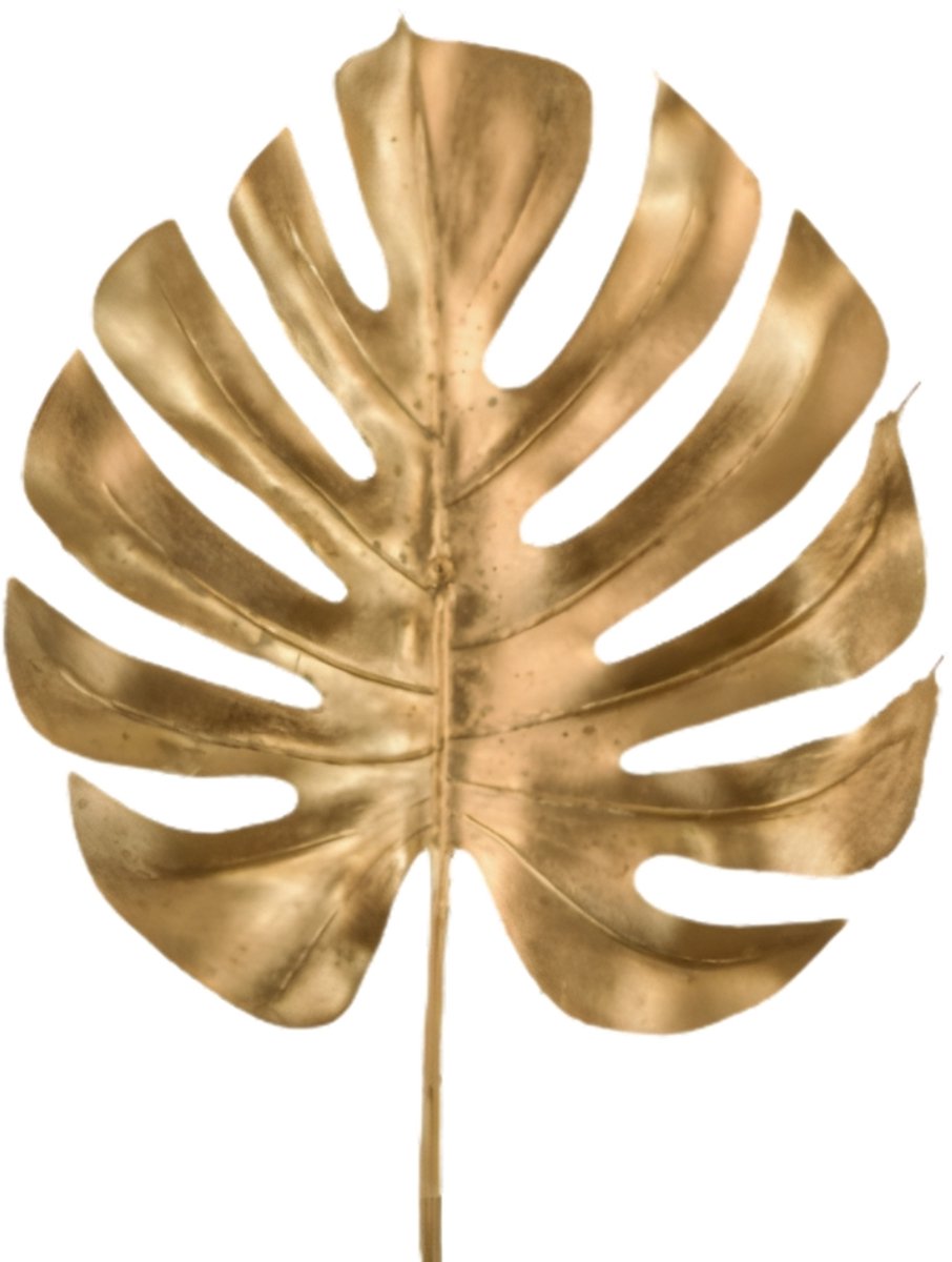 HBX natural living, Blad met steel, Metallic Goud, 70 cm