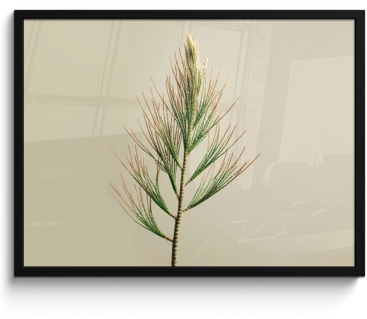 FrameYourWall Poster in lijst - Fotolijst 70x50 cm - Posters - Dennentak - Naaldvormige bladeren - Lichtgroen - Posterlijst zwart - Decoratie - Wanddecoratie woonkamer - Muurdecoratie slaapkamer