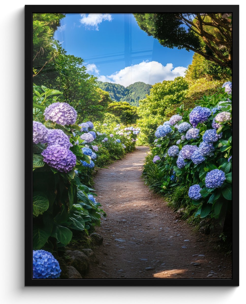 FrameYourWall Poster in lijst - Fotolijst 50x70 cm - Posters - Hortsensia - Pad - Bloemen - Posterlijst zwart - Decoratie - Wanddecoratie woonkamer - Muurdecoratie slaapkamer Hortensia - Pad