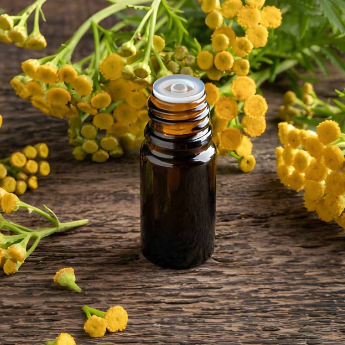 Helichrysum Etherische Olie - 10 ml