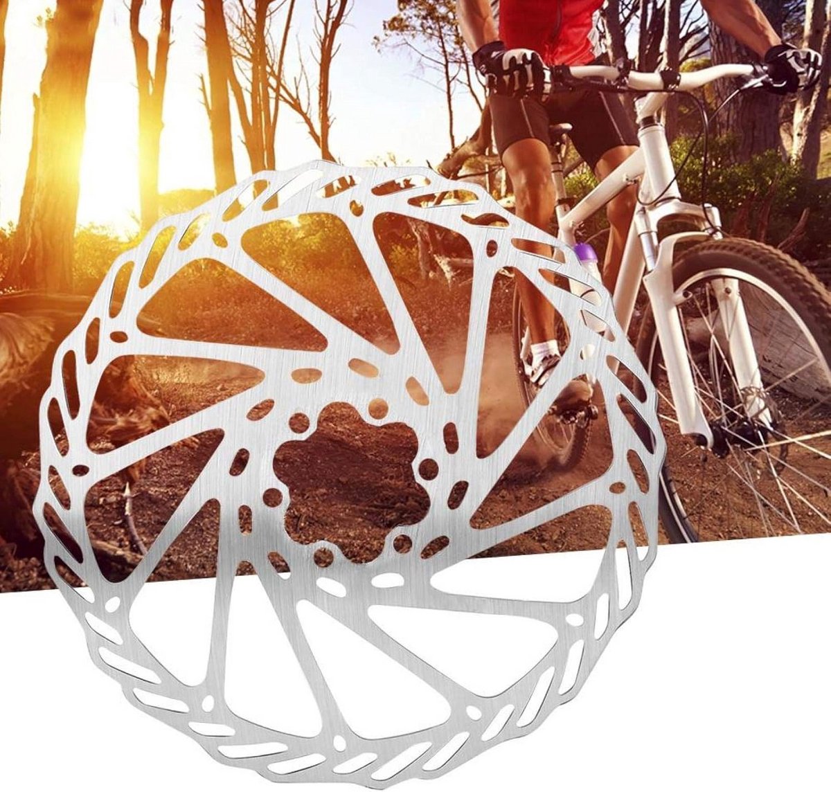 Fietsschijfrem Rotor Remschijf 6 Bouten voor Mountainbike Racefiets MTB BMX