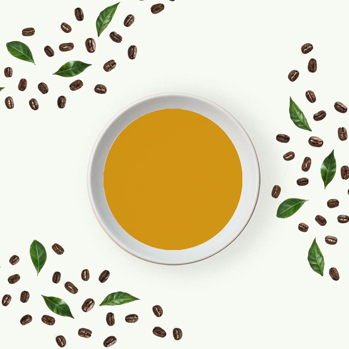 Braziliaanse Groene Koffie Olie Koudgeperst - 1 L