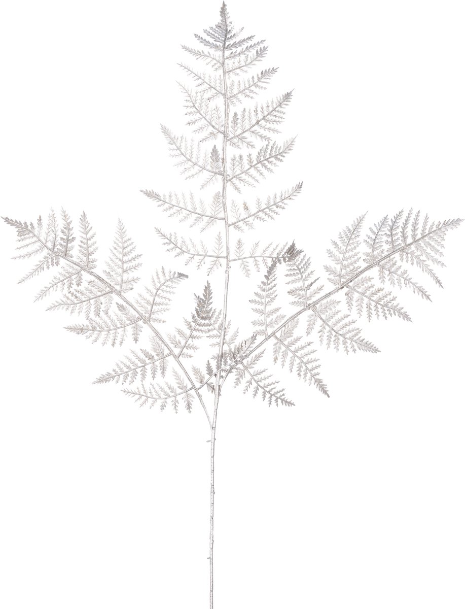 Easyplants | Kunsttak Varen 78 cm champagne | Zijde | Nepbloemen | champgne | Onderhoudsvrij | Kant-en-klaar