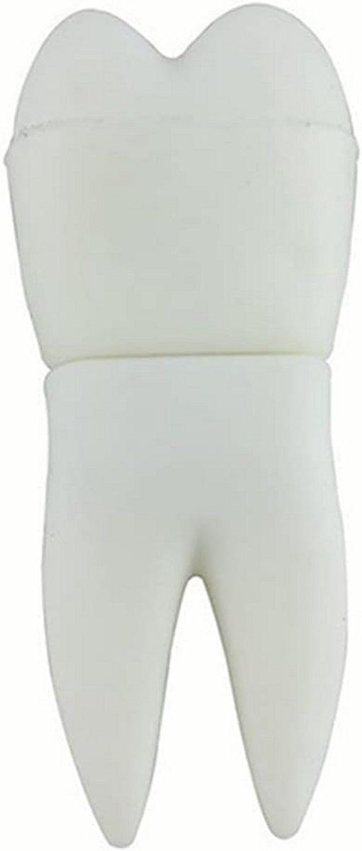 Grappige USB-stick in Tand/Gebit Vorm - 16 GB Geheugenstick Gegevensopslag