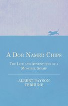 A Dog Named Chips - The Life and Adventures of a Mongrel Scamp