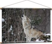 WallClassics - Textielposter - Huilende Wolf in de Sneeuw - 90x60 cm Foto op Textiel