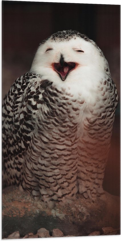 WallClassics - Drapeau - Hibou à long bec - Photo sur drapeau polyester 50 x 100 cm