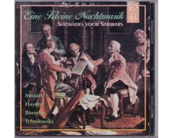 Eine Kleine Nachtmusik