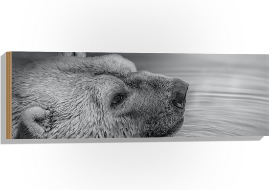WallClassics - Hout - Ijsbeer Zwemmend in het Water Zwart/Wit - 90x30 cm - 12 mm dik - Foto op Hout (Met Ophangsysteem)