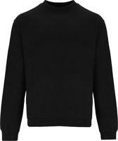 Zwarte heren sweater Telena merk Roly maat M