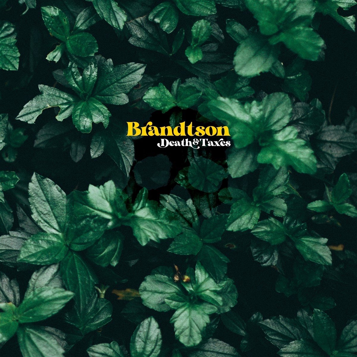Brandtson - Death & Taxes (LP) (Remastered) (Coloured Vinyl)