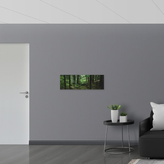 WallClassics - Bois - Forêt mature - 90x30 cm - Épaisseur 12 mm - Photo sur bois (avec système de suspension)