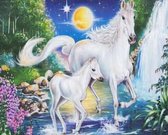 Paard met veulen - Diamond Painting - 50 x 65 cm - Ronde steentjes
